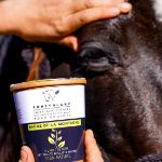 Image sur Baume de la montagne : répulsif & apaisant pour chevaux à l'huile de neem