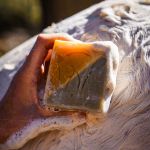 Image sur Savon soin pour chevaux & équidés : argile verte & huile de neem