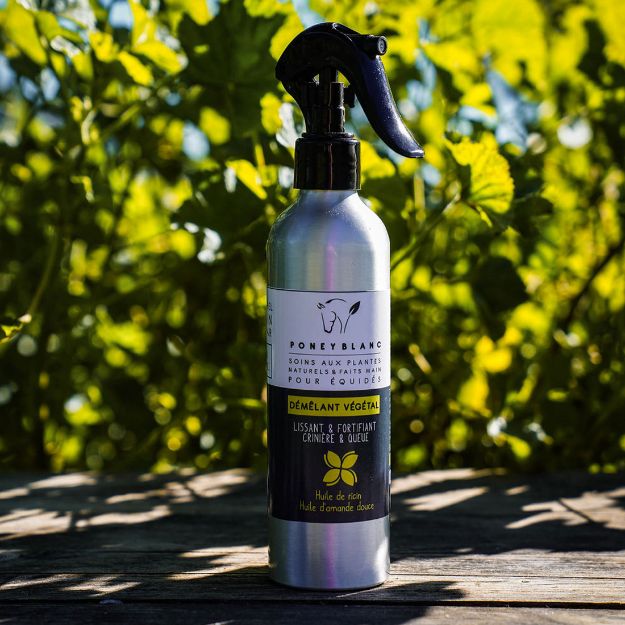 Image sur Spray démêlant huile de ricin & d'amande douce