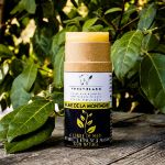 Image sur Baume de la montagne : répulsif & apaisant pour chevaux à l'huile de neem