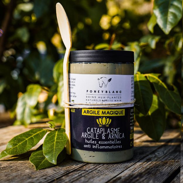 Image sur Argile Magique