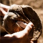 Image sur Pâte à Pied protectrice & purifiante