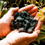 Image sur FRIANDISES CMV vitaminées et protéinées à la Spiruline de PROVENCE