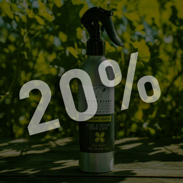 Image sur Spray démêlant huile de ricin & d'amande douce