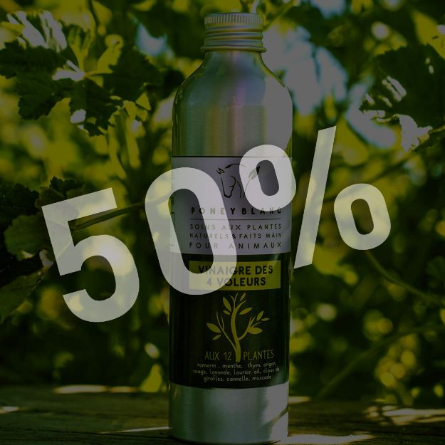 Image sur Vinaigre des 4 voleurs anti-parasitaire aux 12 plantes